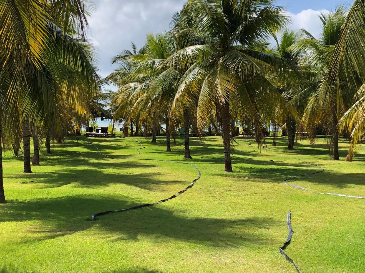 Villas Tature Sao Miguel dos Milagres Bagian luar foto